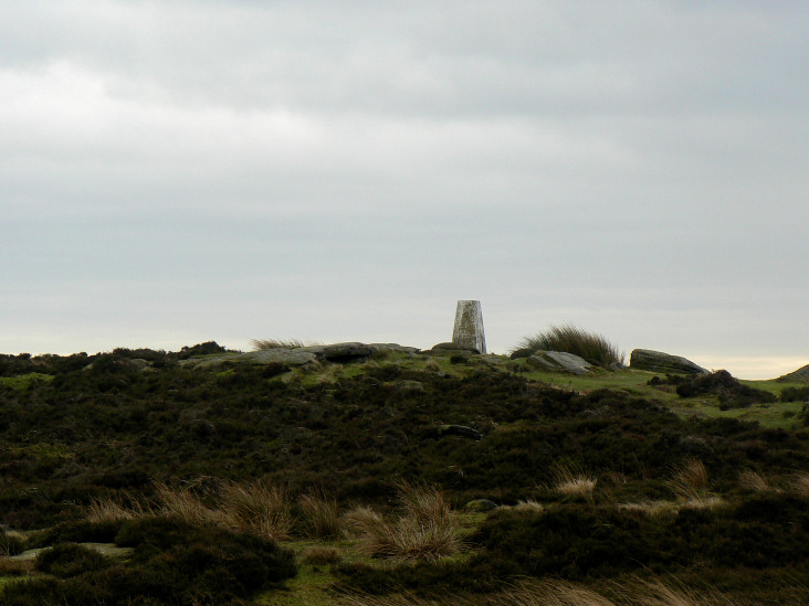 White Edge trig White Edge trig